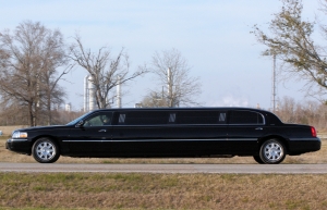 1266953_limousine[1]