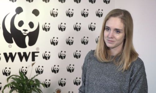 Przemysł odzieżowy w coraz większym stopniu truje środowisko. Do wyprodukowania zwykłego T-shirta potrzeba 2,5 tys. litrów wody