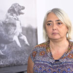 Rośnie liczba bezdomnych zwierząt w Polsce i związane z nimi wydatki. Potrzebne wprowadzenie kontroli środków przeznaczanych na schroniska