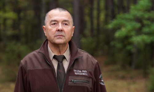 Rusza wielki projekt ratowania mokradeł pod Warszawą. Ich wysuszenie zagraża żyjącym tam ptakom